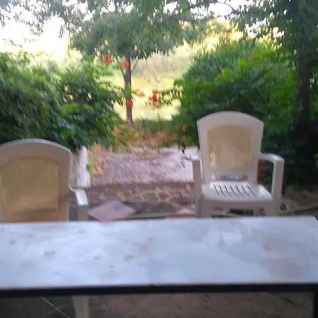 Aliki's House *